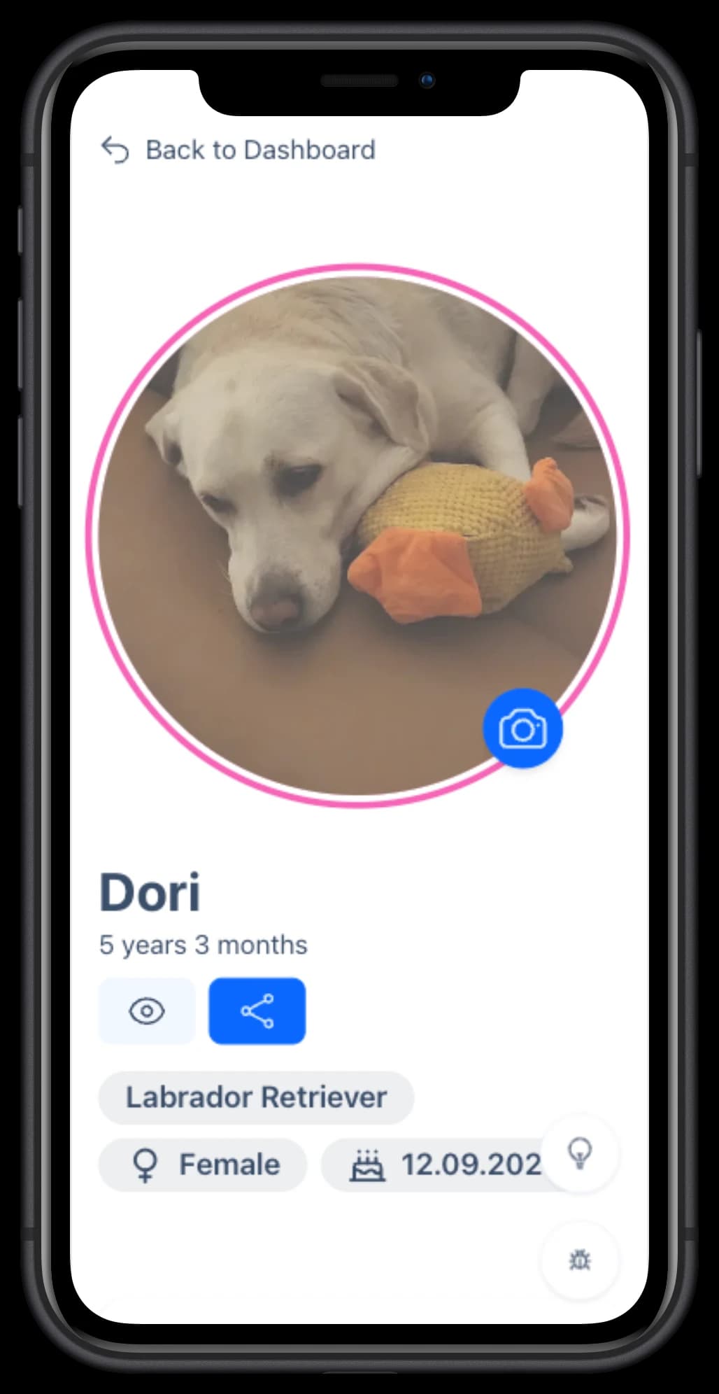 One Pawfile for your dog